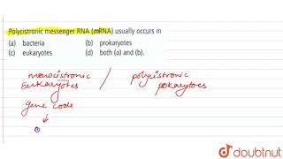 Polycistronic mesenger RNA mRNA usually occurs in [upl. by Hidie]