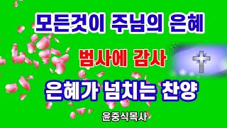 내가너를도우리라 반드시내가너를축복하리라 생명나무 찬양 윤중식목사 [upl. by Nerak595]