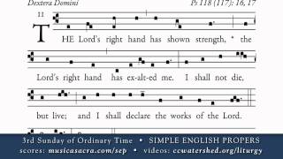 OFFERTORY • 3rd Sunday of Ordinary Time • SIMPLE ENGLISH PROPERS [upl. by Olegnaid]