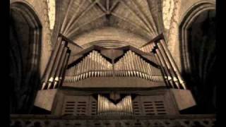 Johann Sebastian Bach  quotTocata y Fugaquot DMoll Ton Koopman [upl. by Anemix]