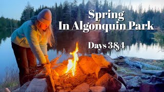 Spring in Algonquin Park A Four Day Canoe Camping Trip Moose Sighting and How to do a Bear Hang [upl. by Fugazy]