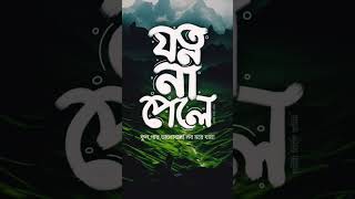 Bangla Typography 💝 shortvideo typography [upl. by Ruth]