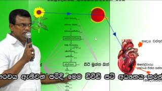 Paramartha Lokaya 06 of 10 [upl. by Oren834]