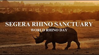 Segera Rhino Sanctuary  World Rhino Day [upl. by Kcired]