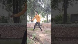 Brown Munde Remix Song Dance BrownMundeDance [upl. by Ric354]