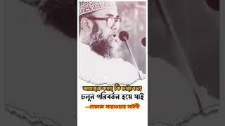 আল্লাহর কাছে কি চাইবেন গোলাম সারোয়ার সাঈদী  Golam Sarwar Saide [upl. by Ansley106]