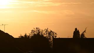 Sunset timelapse Erdington Birmingham UK 11102021 [upl. by Yellehs]