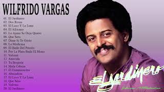 Wilfrido Vargas Exitos Mix  20 Grandes Éxitos [upl. by Nagaem]