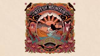 Nefesh Mountain • More Love Official Visualizer [upl. by Attenohs]