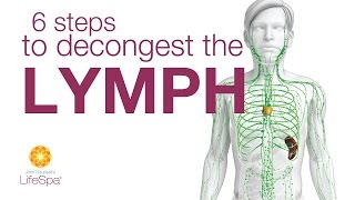 6 Steps to Decongest the Lymph  John Douillards LifeSpa [upl. by Nyletak]