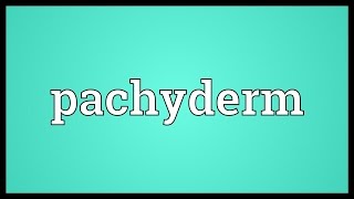 Pachyderm Meaning [upl. by Adnical]