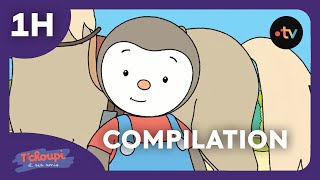 TChoupi et ses amis 🦁 COMPILATION  Spéciale ANIMAUX  🦕1h  Dessins animés pour enfants [upl. by Raffaello]