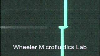 Microchannel Electrochromatography [upl. by Filler]