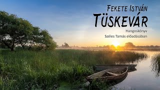 Fekete István Tüskevár [upl. by Colin]