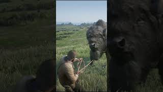 Bull catch and hunting shortvideo reddeadredemtion2 shorts [upl. by Marie]