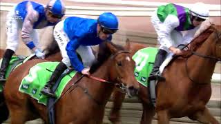 Every race from Penfolds Victoria Derby Day [upl. by Nellda48]