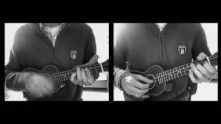 über den wolken ukulele cover [upl. by Aitselec]