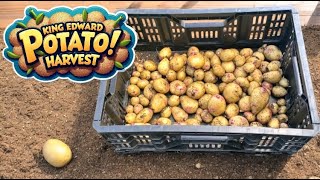 Another Potato Harvest  King Edward [upl. by Barcus]