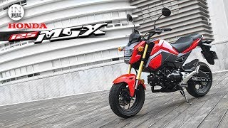 IN測試 輕鬆玩  HONDA MSX 125 [upl. by Latt]