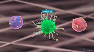 The Role of Epithelial Cytokines in CRSwNP [upl. by Zephaniah]