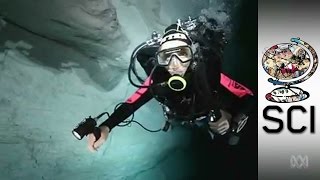 CaveDiving In Australia’s Arid Nullarbor Outback [upl. by Assyl]