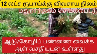 Very low budget Farm land for sale in Madurantakam Chengalpattu Farm garden  Vegetable garden [upl. by Eilojne841]