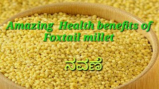 Amazing Health benefits of Foxtail millet ನವಣೆ [upl. by Htes]