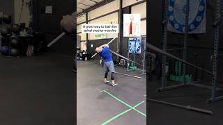 Great exercise to train the spinal erector muscles ￼movementtraining functionaltraining [upl. by Davita]