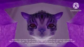 Kitekat Еда энергичных кошек 2018 Effects Sponsored By Boogie Csupo Effects [upl. by Serrano]