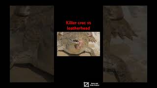 Killer croc vs leatherhead ai fight deathbattle [upl. by Lonny]