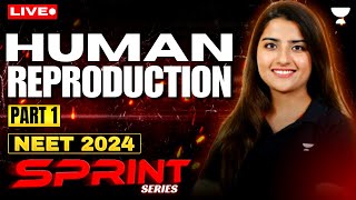 Human Reproduction Part 1  NEET 2024 Sprint Series  Seep Pahuja [upl. by Javier]