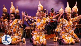 Top 10 Best Traditional African Dances [upl. by Byrann]