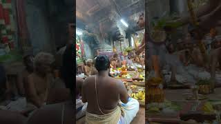 Before commencement of homam sankalpam by ubayadharargal thirumeyyam [upl. by Base133]