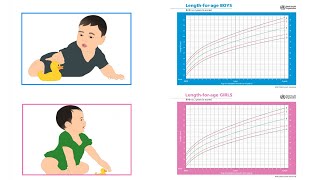 WHO Lengthforage ZScore Growth Charts  English [upl. by Oirasor]