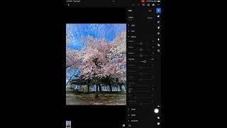 How to edit photo on iPad Vignette [upl. by Radferd983]