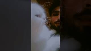 Cat king video with faiz 👑shortsfeed shots ytshorts [upl. by Armillas522]