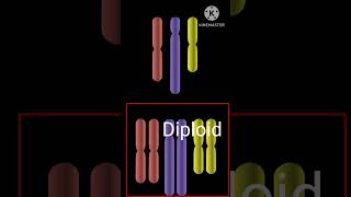 What is Haploid diploid 🤔 Biology [upl. by Dyl22]