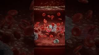 Understanding hemophilia [upl. by Winchester]