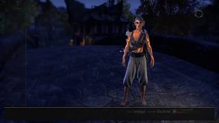 ESO Magicka Templar PvP Build Absolution [upl. by Hbaruas]