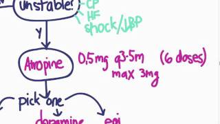 ACLS 07  Bradycardia [upl. by Eico]