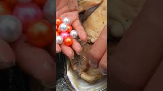 Fresh water opening pearls in oyster shortsfeed [upl. by Corell976]