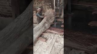 SAWMILLING THE HUGE ROOT wood woodmill carpentry woodmizer woodworking welding lumber saw [upl. by Annaej]