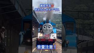 石炭を焚べるシーン トーマス 音量注意 shorts 大井川鐵道 [upl. by Egres534]