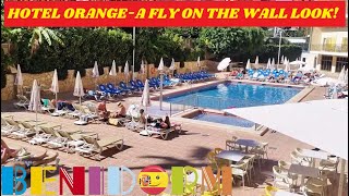 Benidorms HOTEL ORANGE ON THE SQUARE🏨☀️🍊Fly On The Wall Look🥳🪩💃🏻Perfect 4 Party People benidorm [upl. by Yllop]