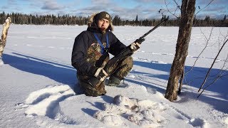 Ptarmigan Hunt [upl. by Irtimed877]