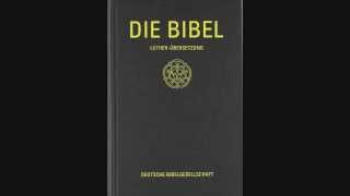 Die Bibel 21 Der Prediger Salomo Kapitel 1  12 [upl. by Aciemaj]