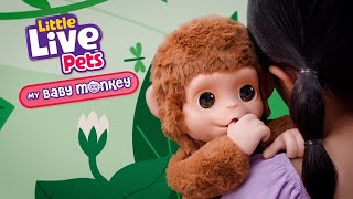 LITTLE LIVE PETS I MY BABY MONKEY TVC I 30 [upl. by Worl]