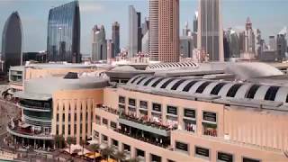 The Dubai Mall [upl. by Eillil]