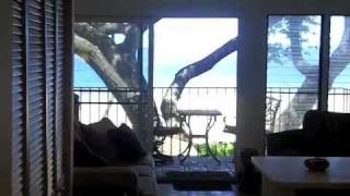 Kamaole One Beach and Ocean Front Vacation Condo Rentals [upl. by Emyle]