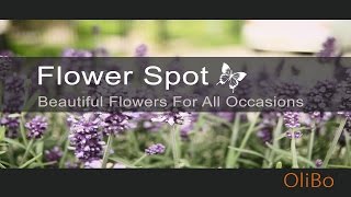 Flower Spot Florist Promotional Video [upl. by Ahsrav721]